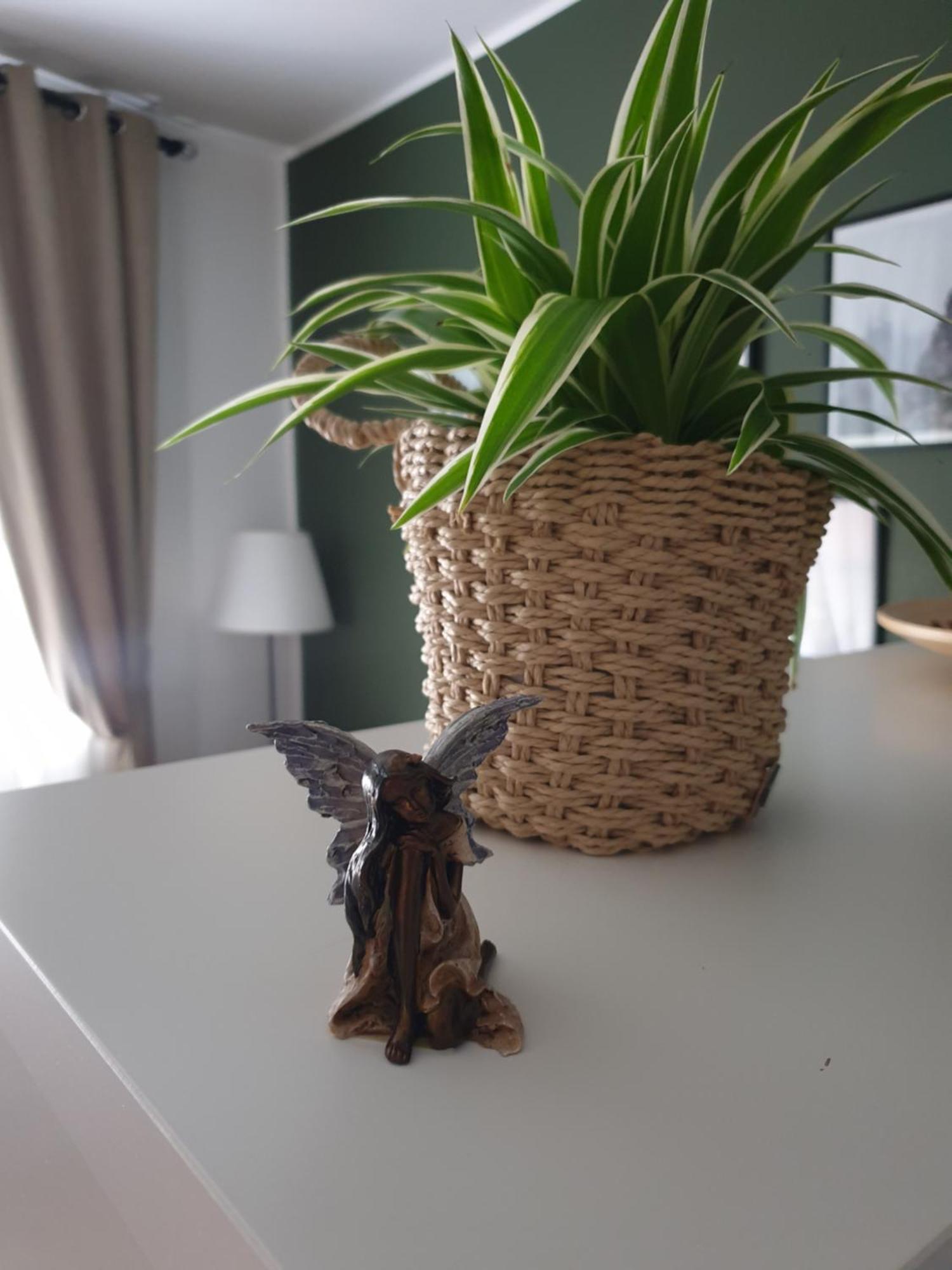 Apartma Thermos Krapinske Toplice Extérieur photo